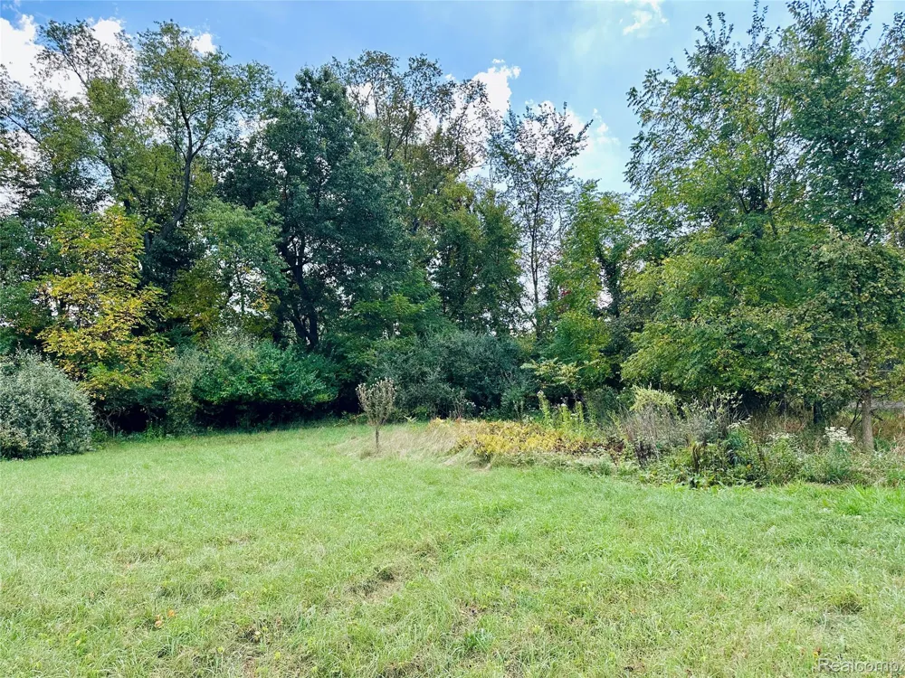 9860 Iosco Ridge Drive Iosco Township, MI 48137