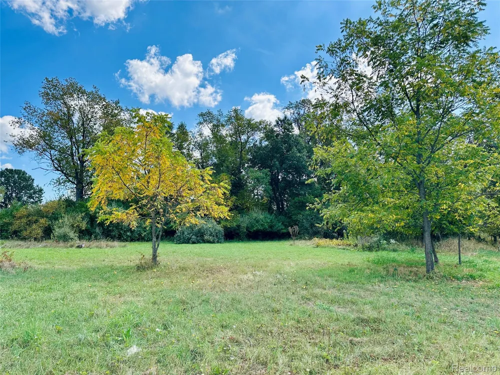 9860 Iosco Ridge Drive Iosco Township, MI 48137