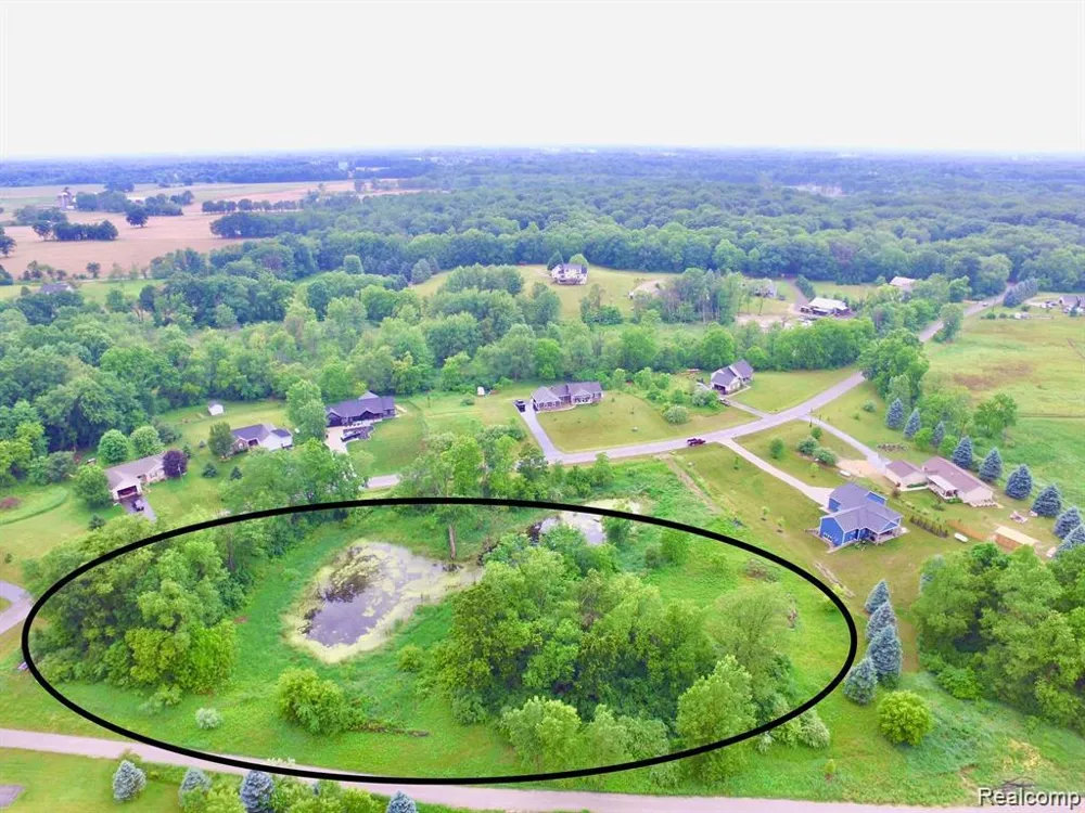 9860 Iosco Ridge Drive Iosco Township, MI 48137