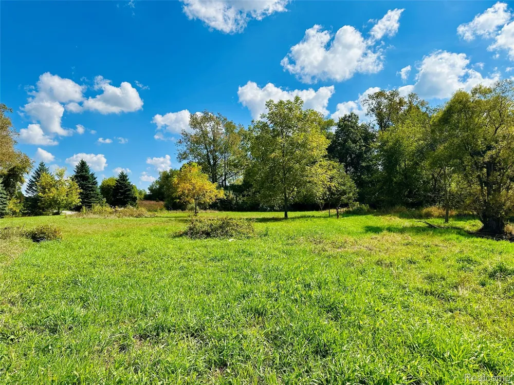 9860 Iosco Ridge Drive Iosco Township, MI 48137