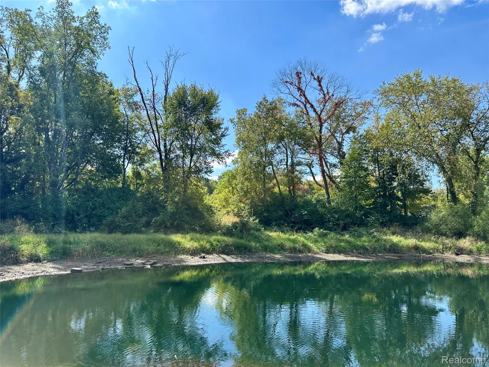 9860 Iosco Ridge Drive Iosco Township, MI 48137