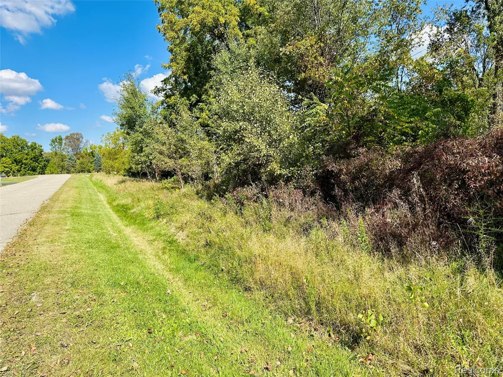 9860 Iosco Ridge Drive Iosco Township, MI 48137