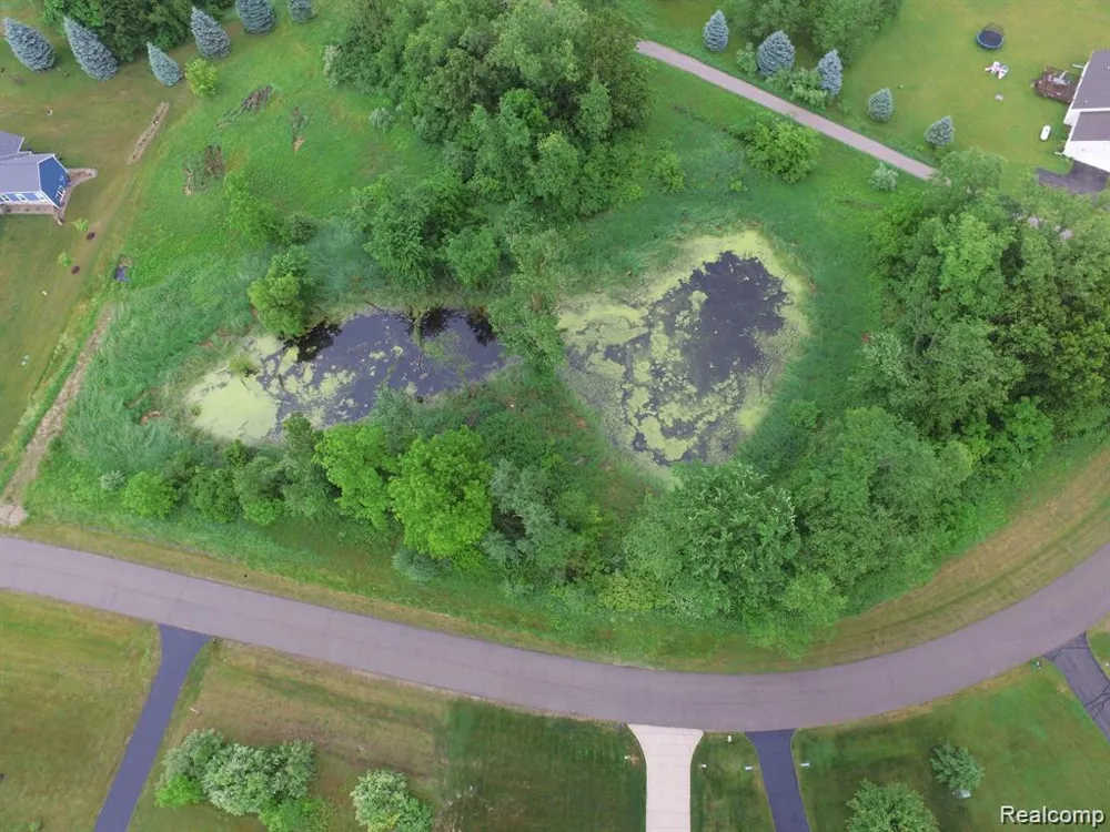 9860 Iosco Ridge Drive Iosco Township, MI 48137