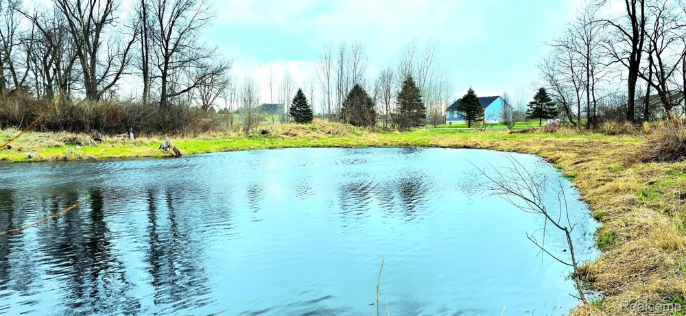 9860 Iosco Ridge Drive Iosco Township, MI 48137