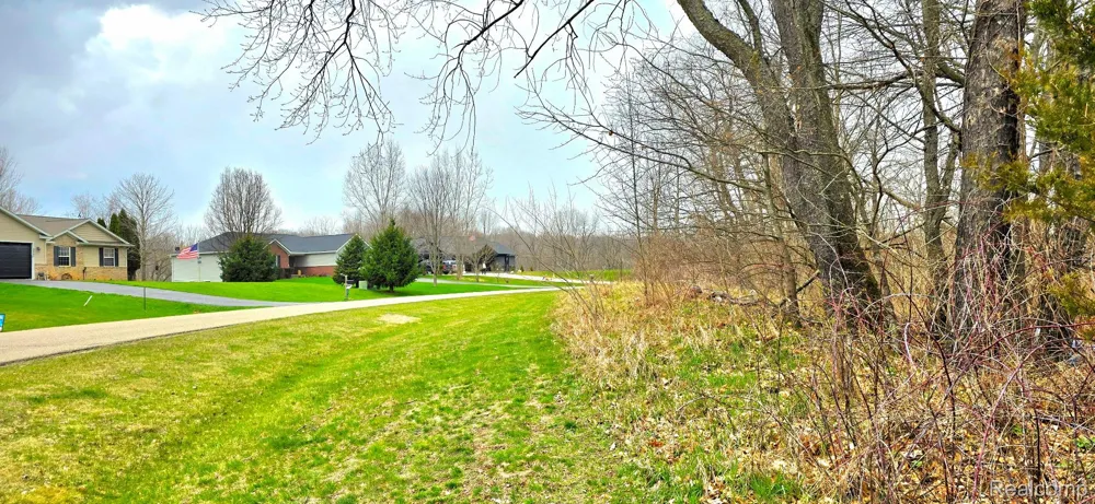 9860 Iosco Ridge Drive Iosco Township, MI 48137