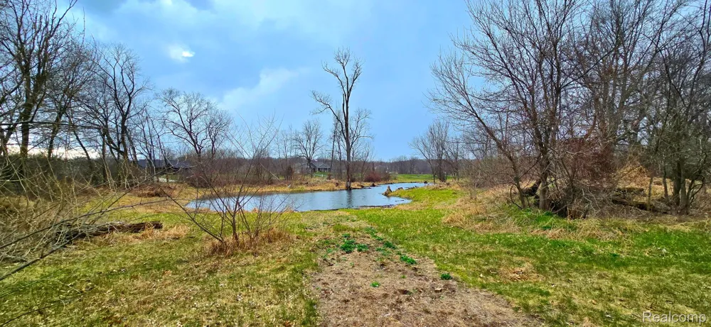9860 Iosco Ridge Drive Iosco Township, MI 48137