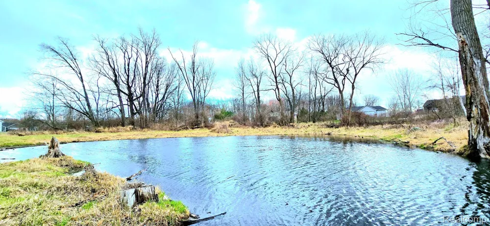 9860 Iosco Ridge Drive Iosco Township, MI 48137