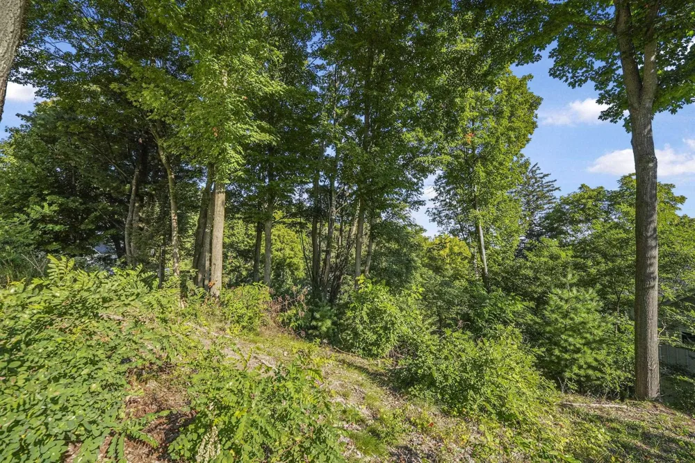 Incochee Woods Drive Garfield Charter Township, MI 49684