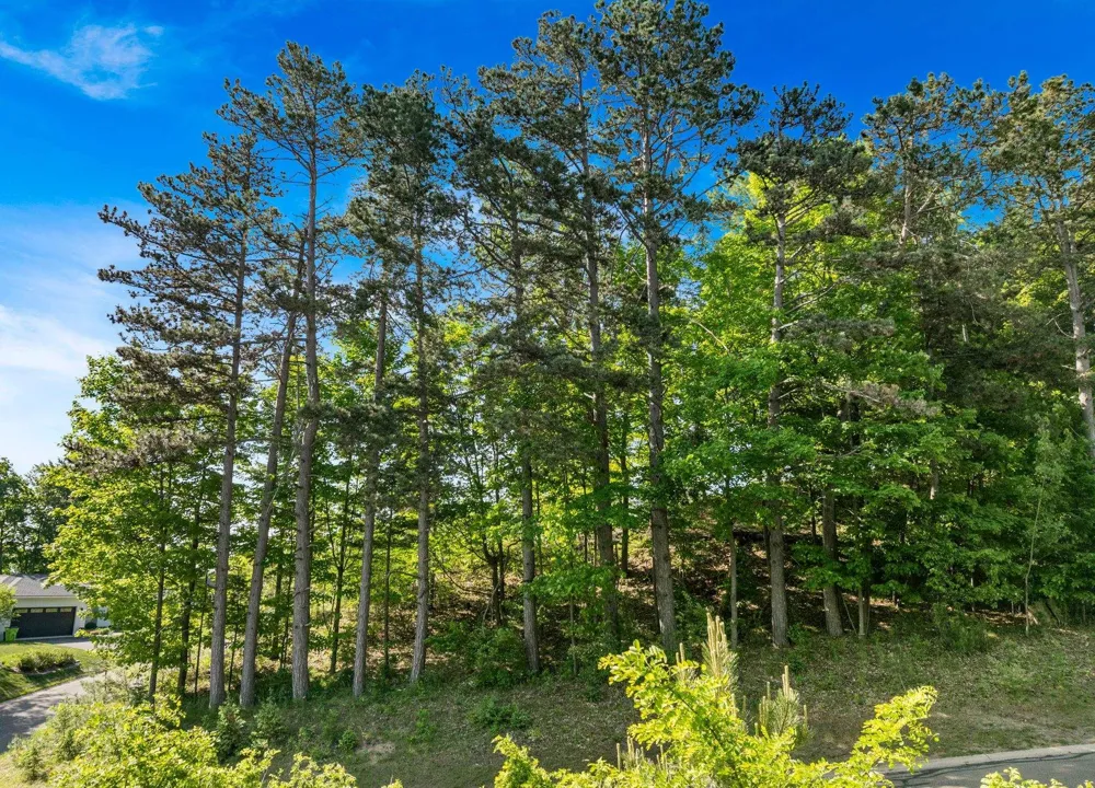 Incochee Woods Drive Garfield Charter Township, MI 49684