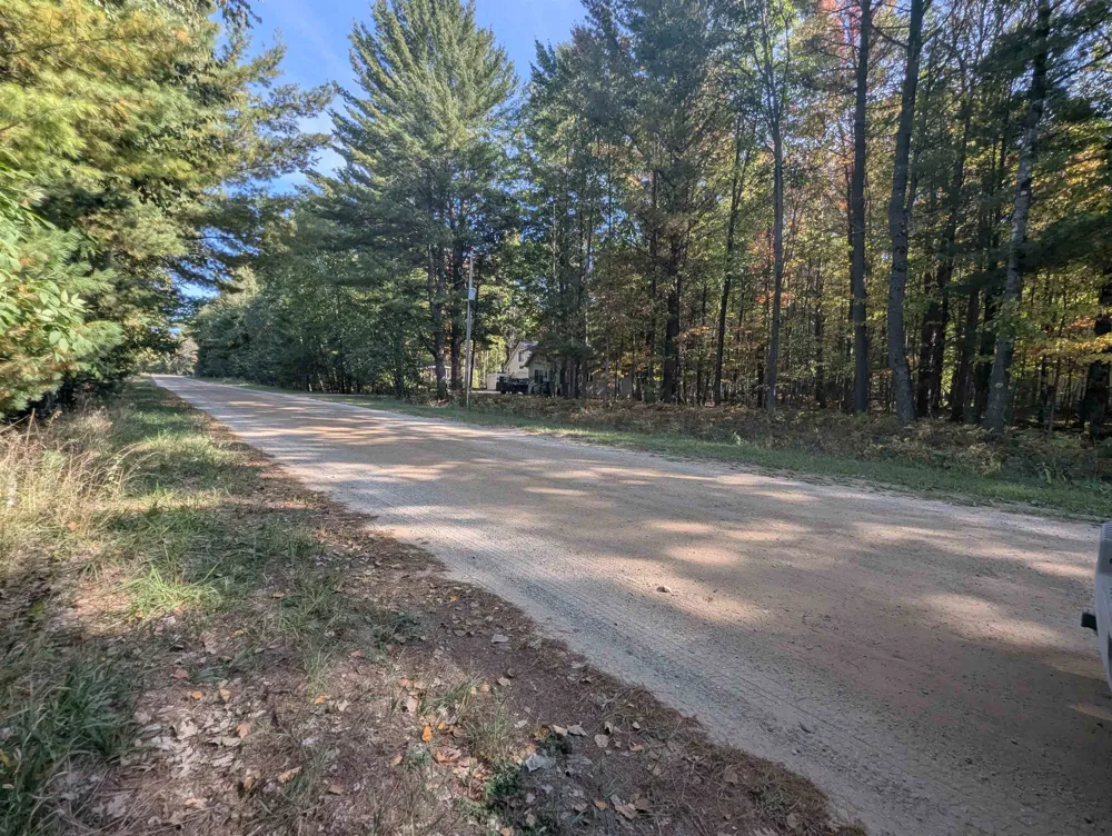 Forest Lake Drive Moffatt Township, MI 48610