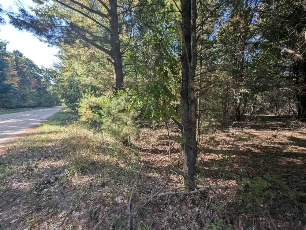 Forest Lake Drive Moffatt Township, MI 48610