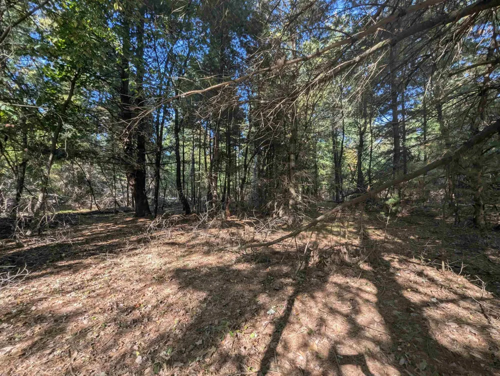 Forest Lake Drive Moffatt Township, MI 48610