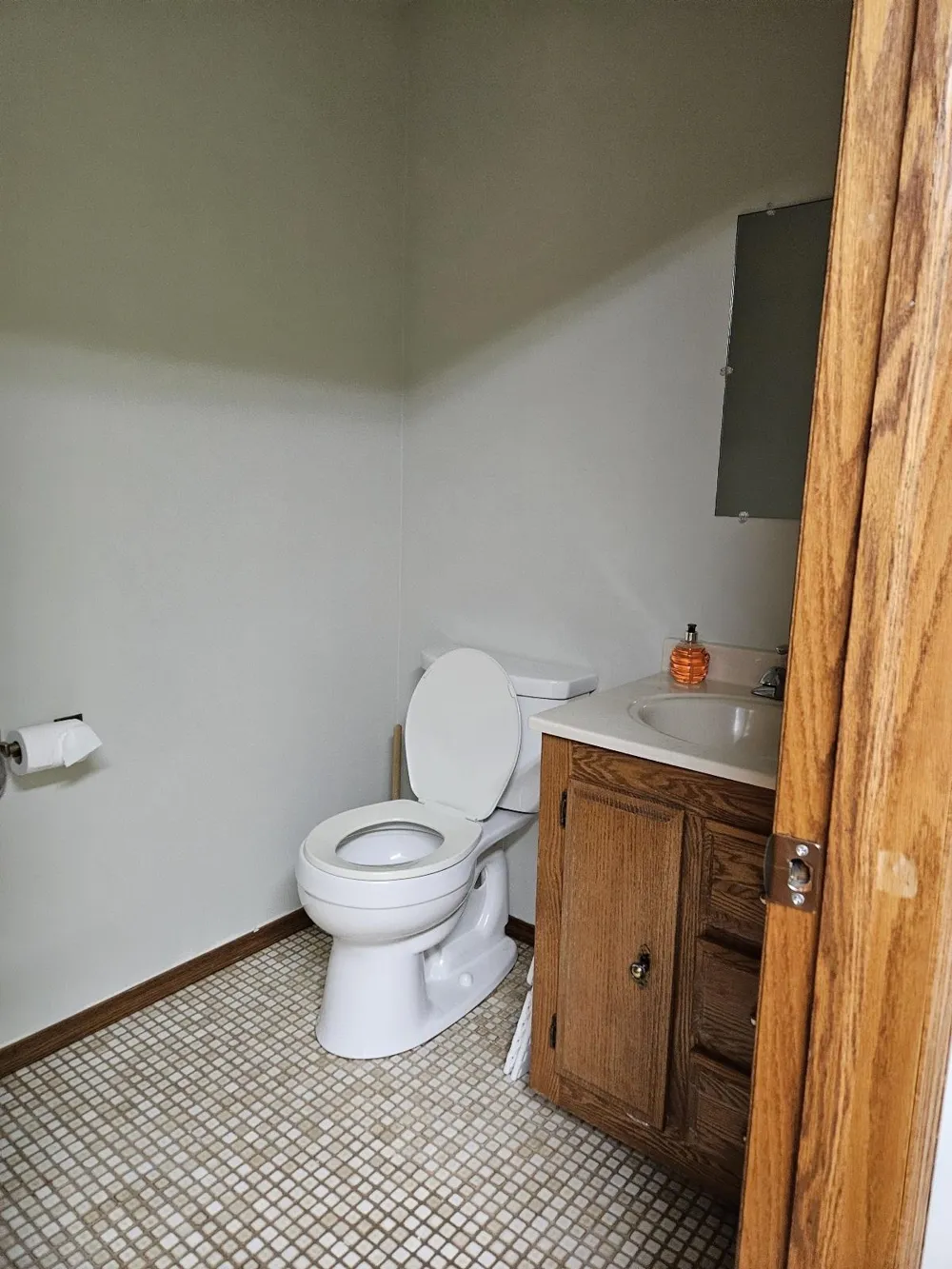235 Monument Road Baldwin Township, MI 48730