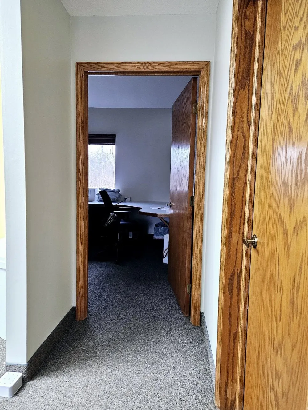 235 Monument Road Baldwin Township, MI 48730