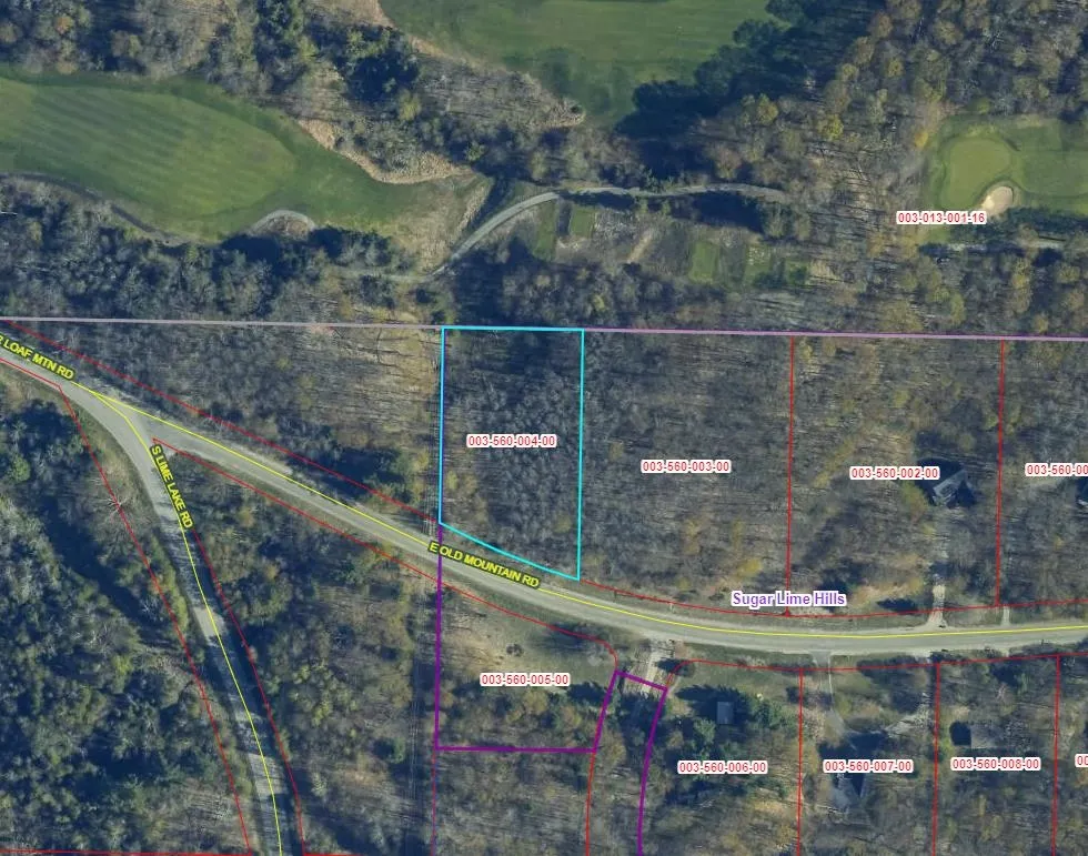 E Old Mountain Road Cleveland Township, MI 49621