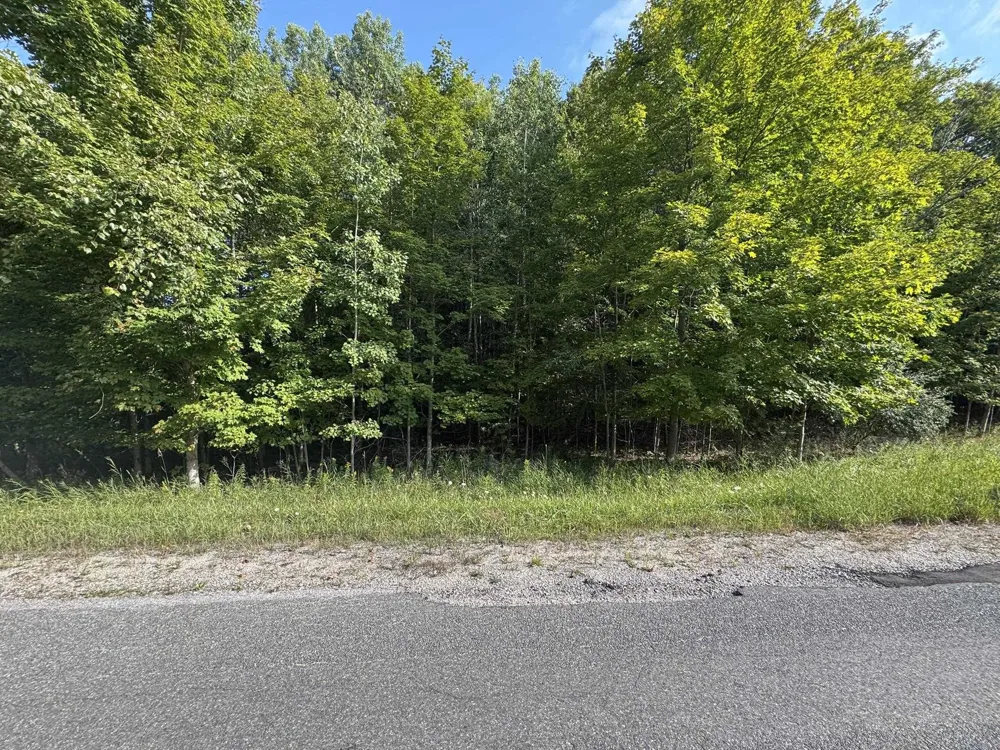 E Old Mountain Road Cleveland Township, MI 49621