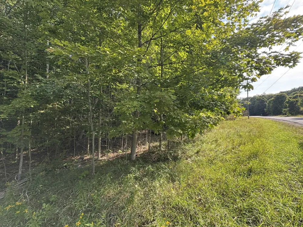 E Old Mountain Road Cleveland Township, MI 49621