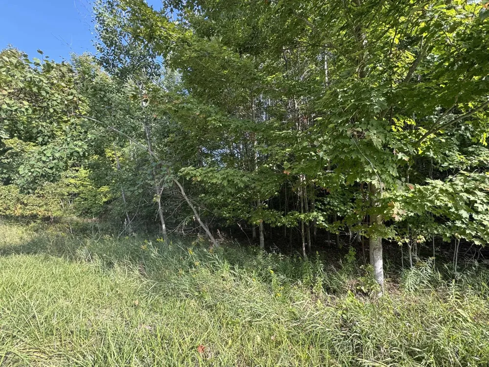 E Old Mountain Road Cleveland Township, MI 49621