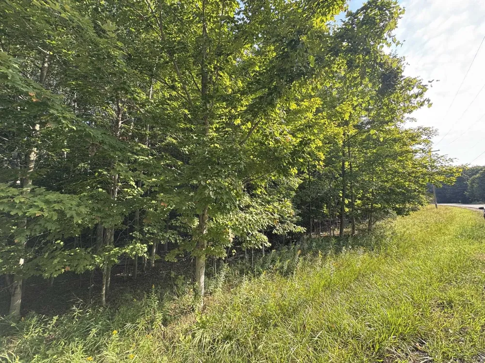 E Old Mountain Road Cleveland Township, MI 49621