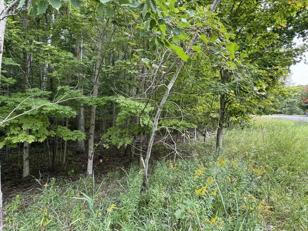 E Old Mountain Road Cleveland Township, MI 49621