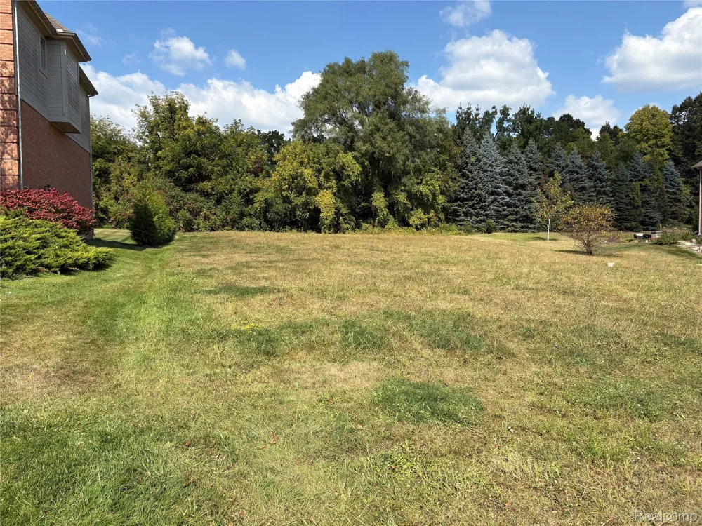 18018 RIDGEVIEW DRIVE Northville Township, MI 48168