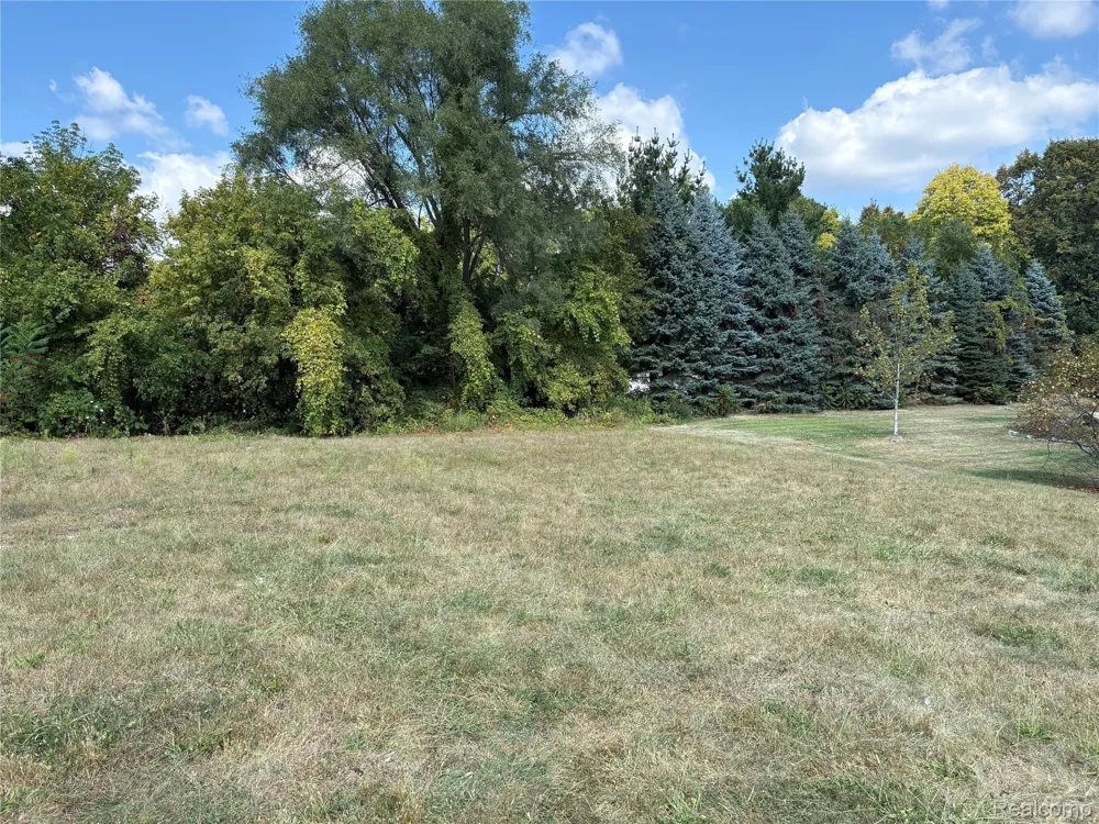 18018 RIDGEVIEW DRIVE Northville Township, MI 48168