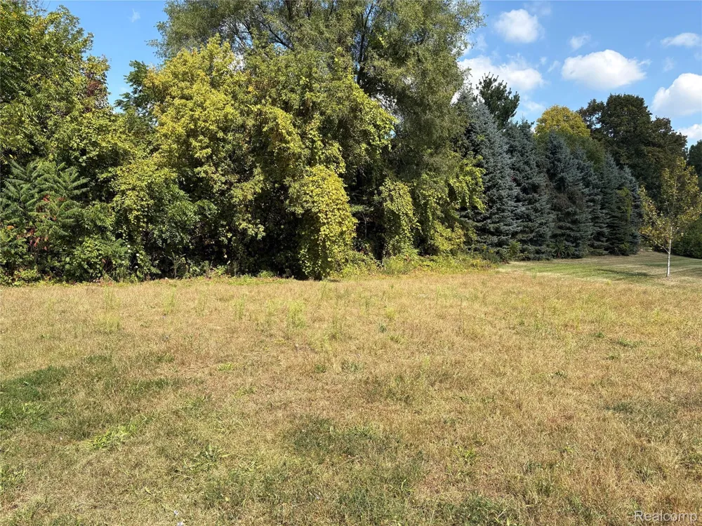 18018 RIDGEVIEW DRIVE Northville Township, MI 48168