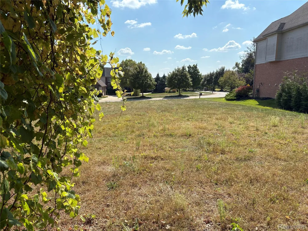 18018 RIDGEVIEW DRIVE Northville Township, MI 48168