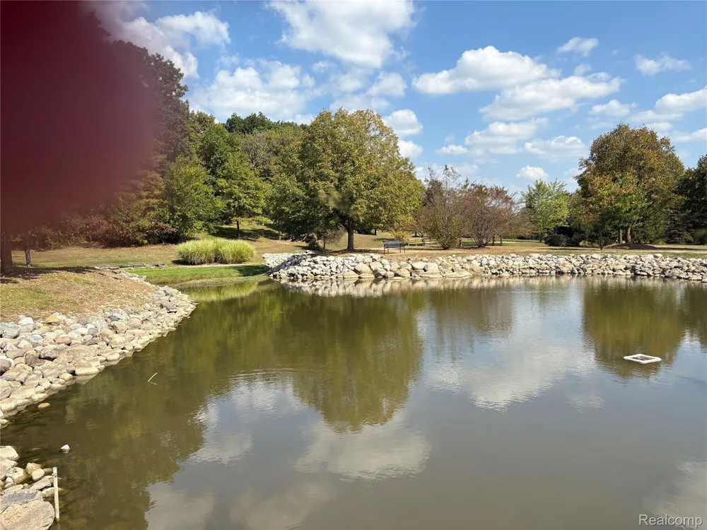 18018 RIDGEVIEW DRIVE Northville Township, MI 48168