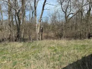 5019 S Townhall Road Evergreen Township, MI 48884