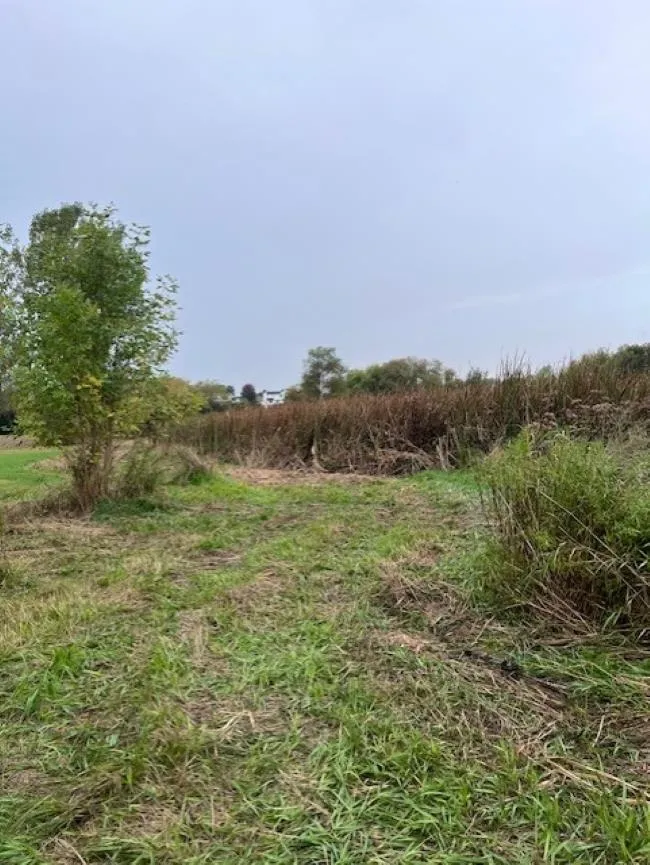 1051 Cummings Road Davison Township, MI 48423