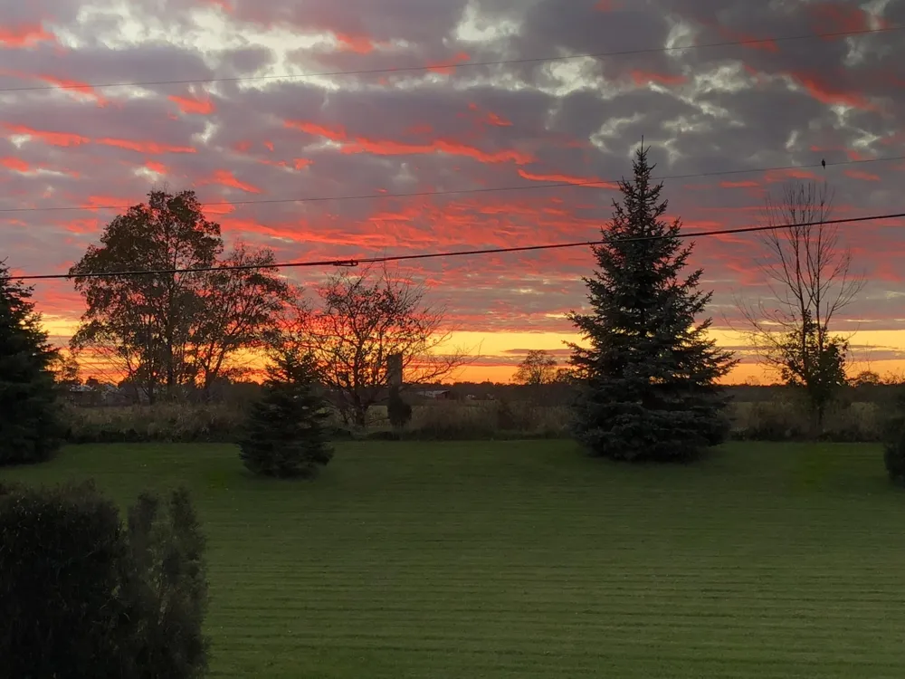 3679 Tamerry Court Saline Township, MI 48176