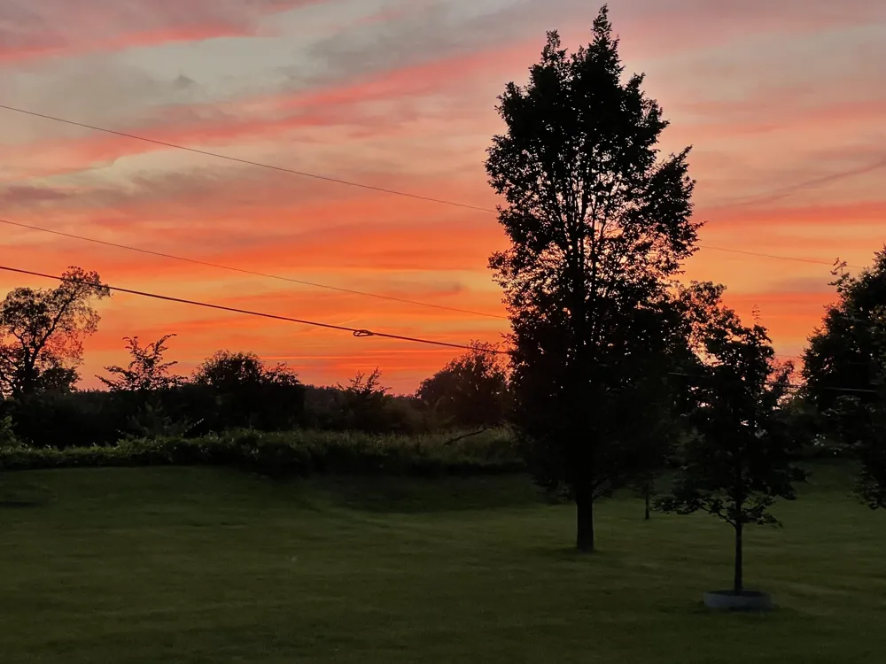 3679 Tamerry Court Saline Township, MI 48176