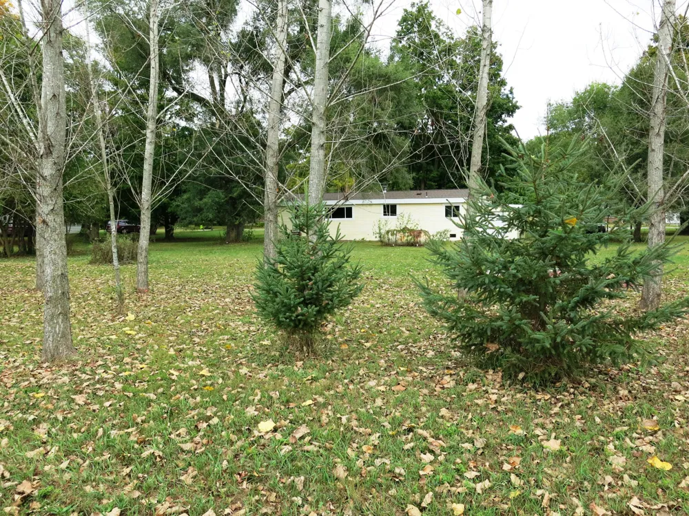 141 W Union City Road Union Township, MI 49094