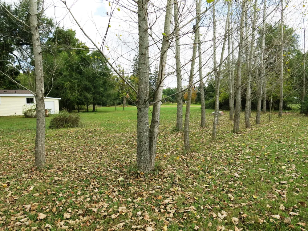 141 W Union City Road Union Township, MI 49094