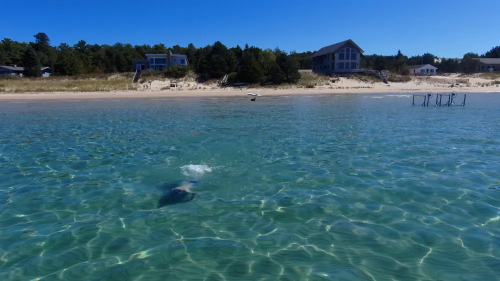 14619 Cathead Bay Drive Leelanau Township, MI 49670