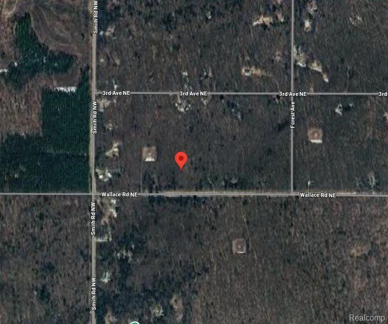207 Wallace Road NE Rapid River Township, MI 49612