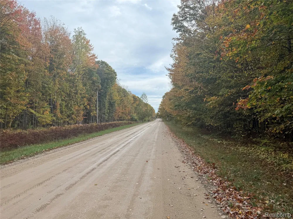 207 Wallace Road NE Rapid River Township, MI 49612