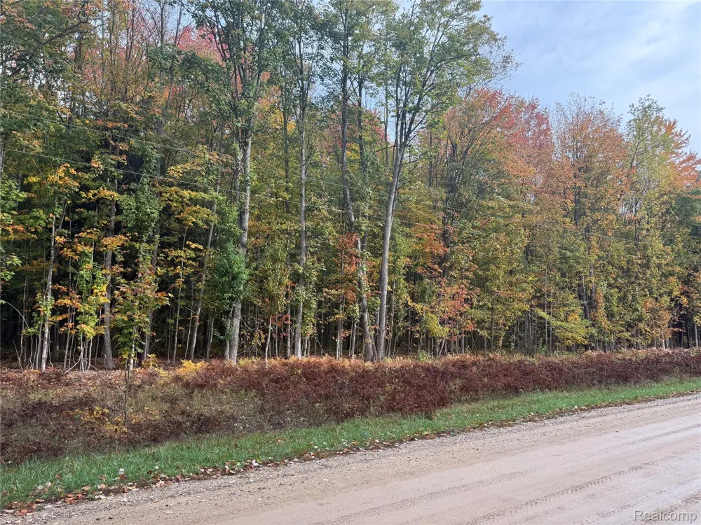 207 Wallace Road NE Rapid River Township, MI 49612