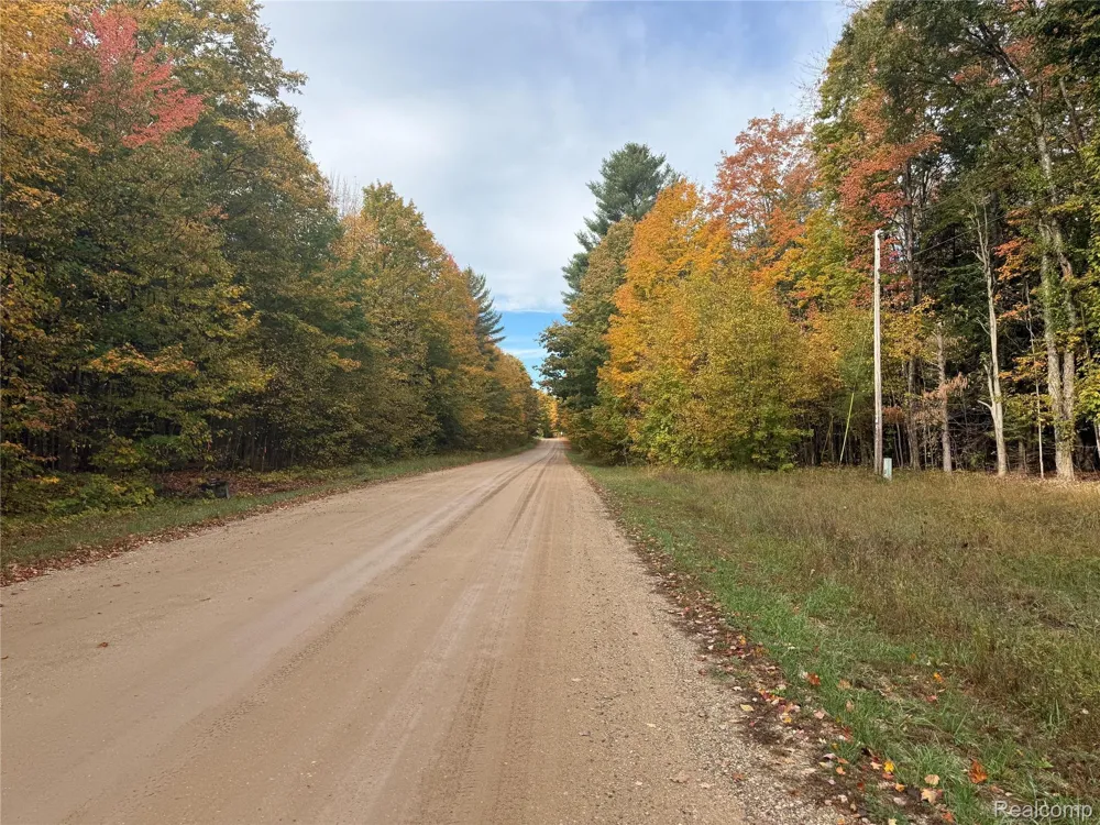 207 Wallace Road NE Rapid River Township, MI 49612