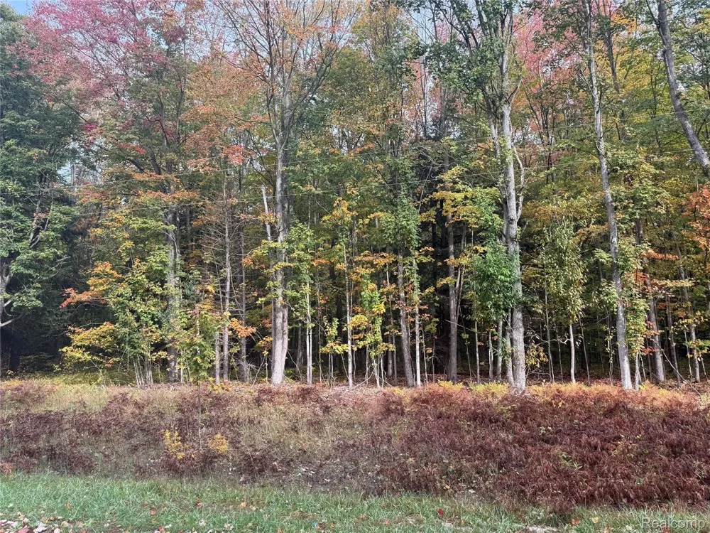 207 Wallace Road NE Rapid River Township, MI 49612