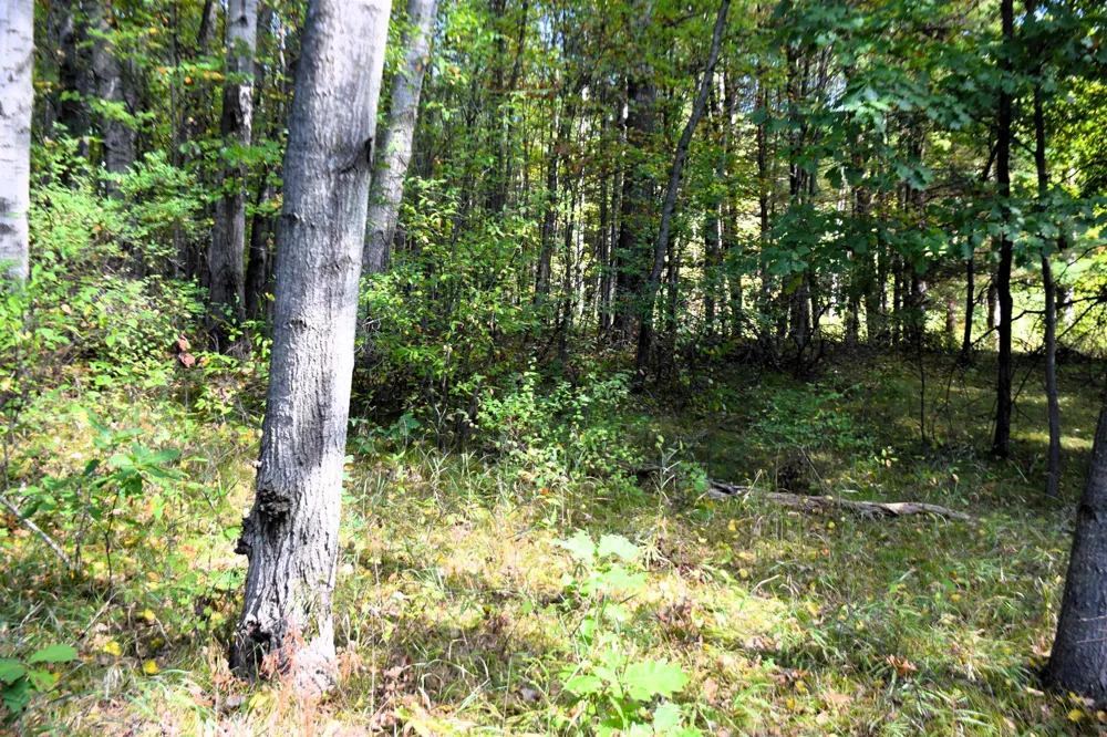 8568 W Ludington Drive Garfield Township, MI 48632