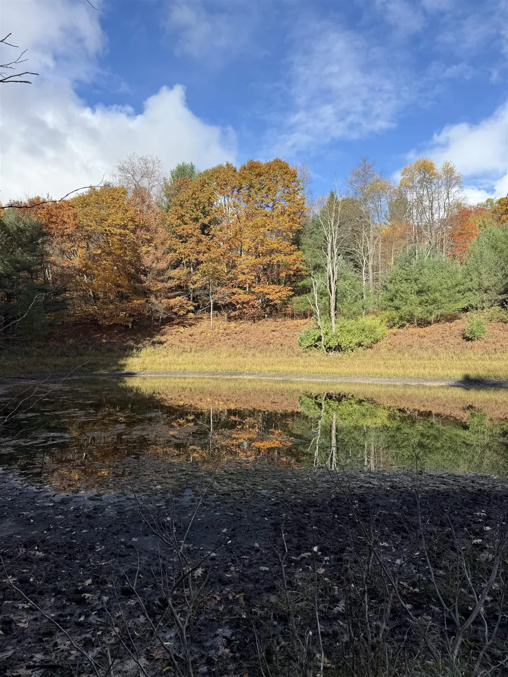 S Fritz Road Kasson Township, MI 49630