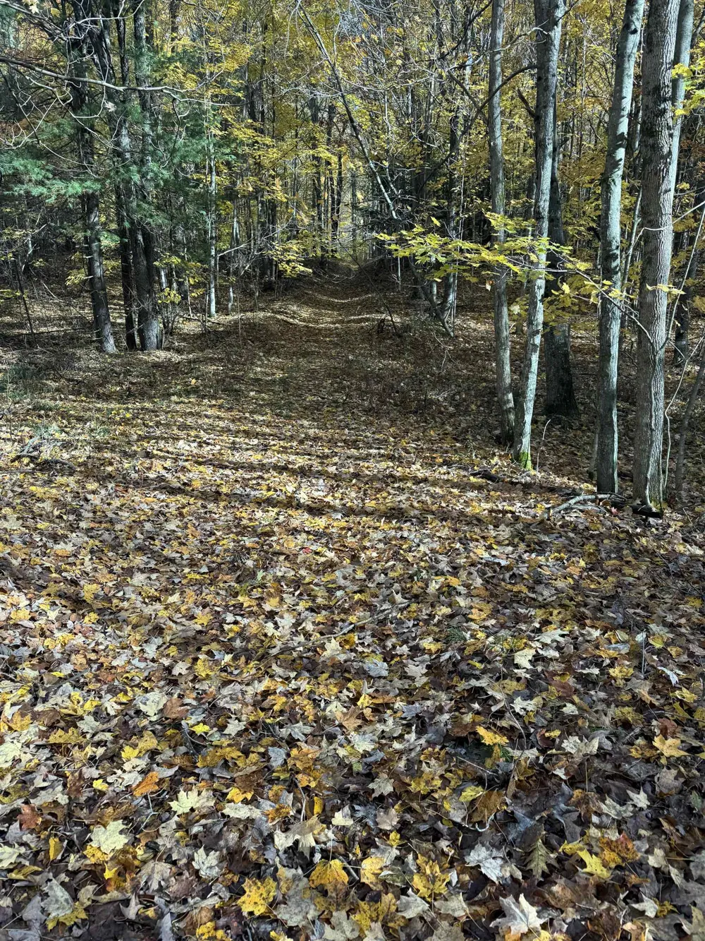 S Fritz Road Kasson Township, MI 49630