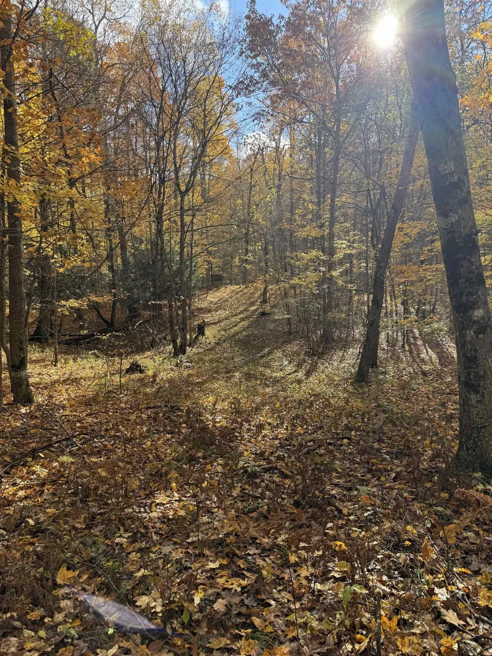 S Fritz Road Kasson Township, MI 49630