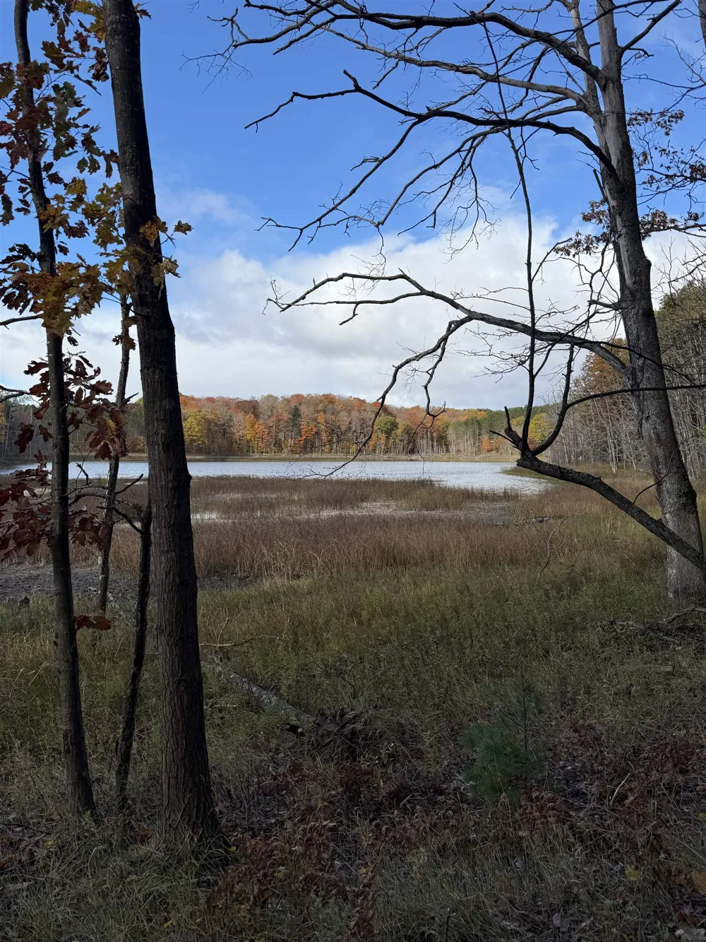 S Fritz Road Kasson Township, MI 49630