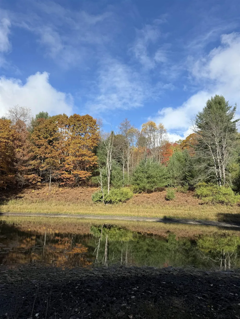 S Fritz Road Kasson Township, MI 49630