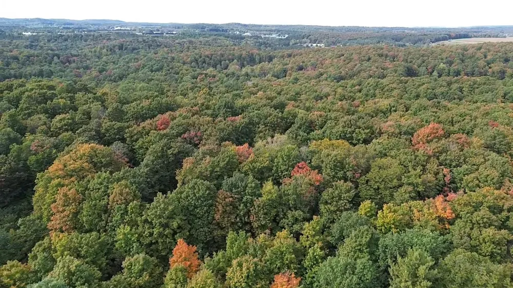 S Fritz Road Kasson Township, MI 49630