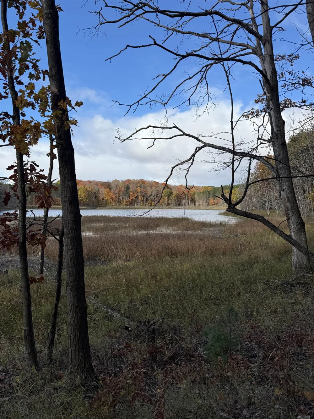 S Fritz Road Kasson Township, MI 49630