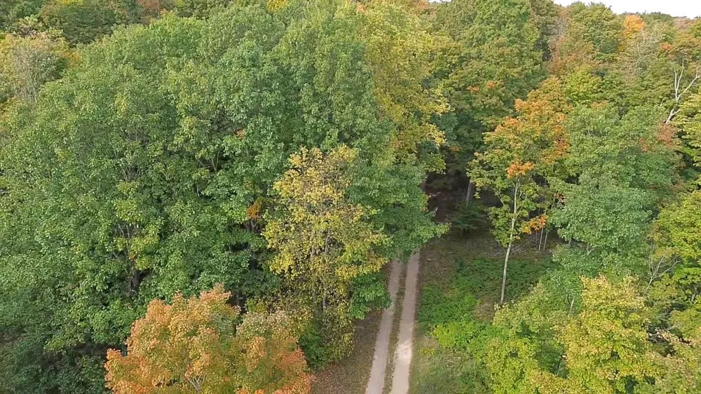 S Fritz Road Kasson Township, MI 49630